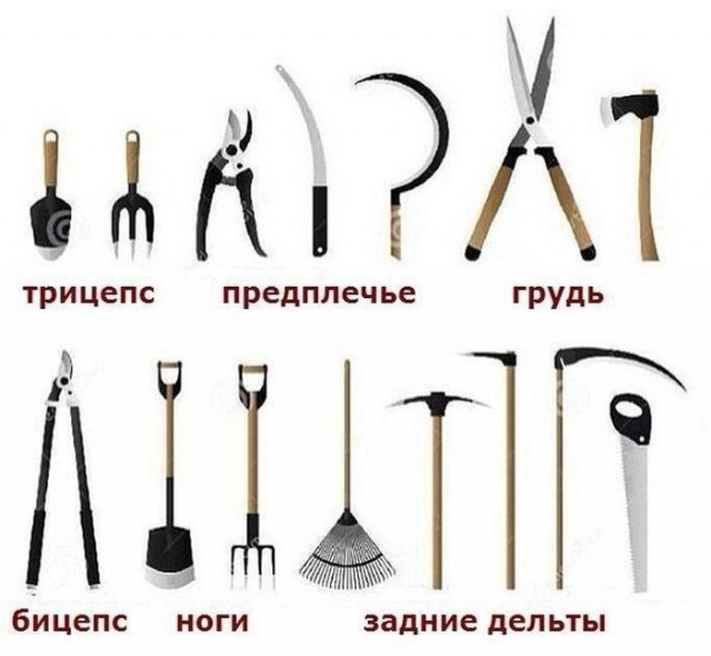 Бильдер(нем.)