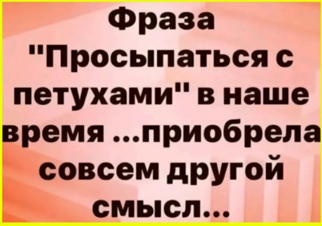 Картинки для деградации 239 (разной степени свежести)