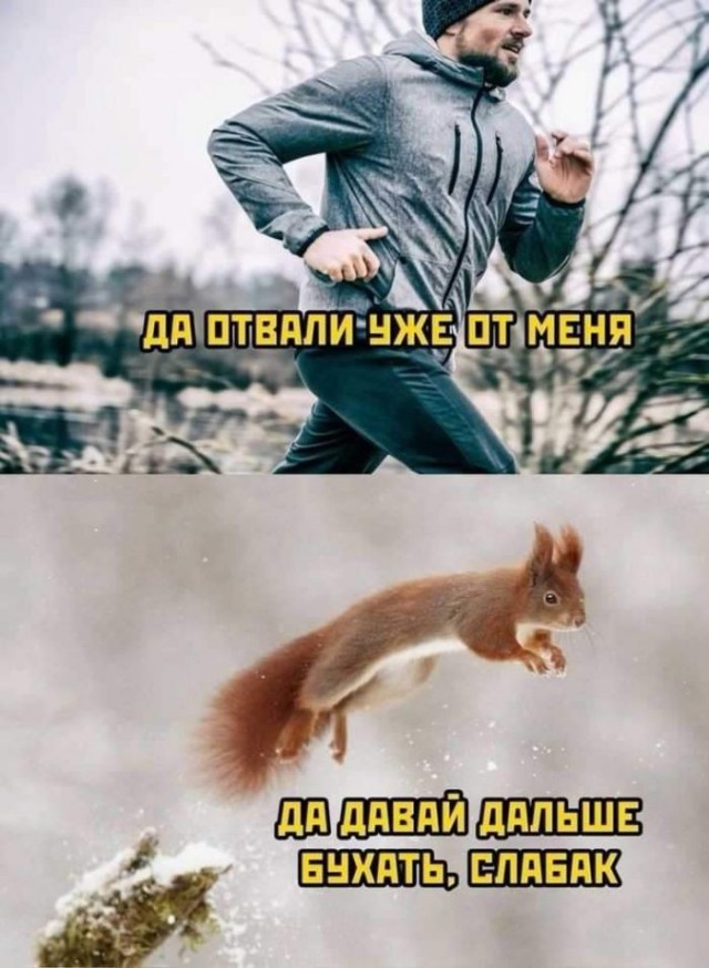 Картинки на среду