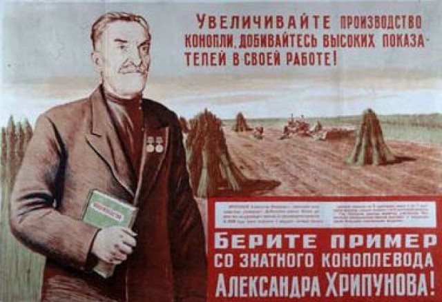 Конопля в разных странах.