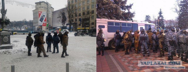 Беркут пошел на штурм