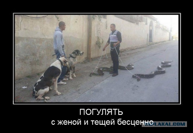 Брутальность этого снимка прямо зашкаливает