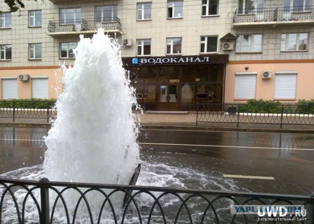 Картинки