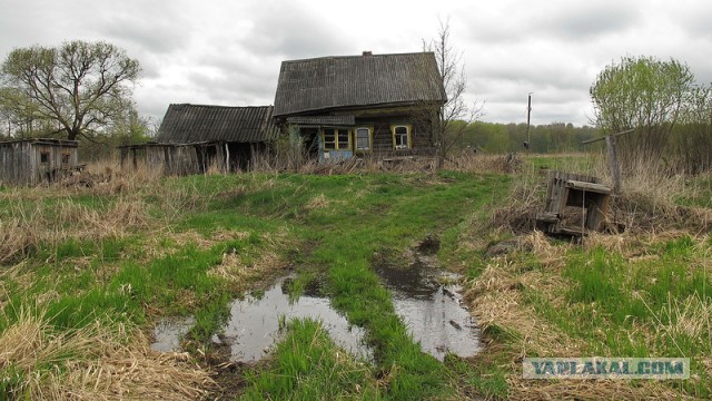 Самый сильный демотиватор...