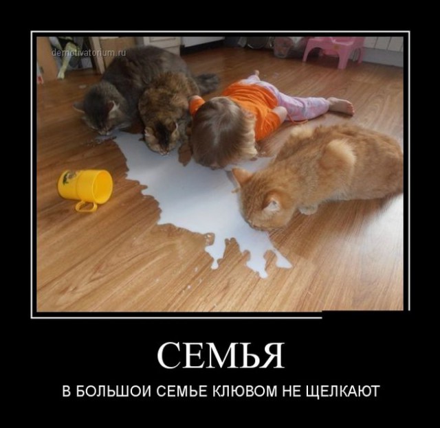 Демотиваторов пост, добавляйте свои