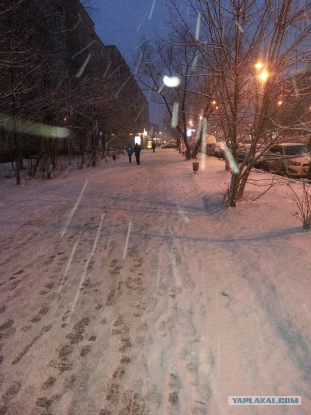 Утро Питер 21.04.15
