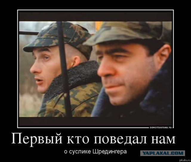 Киноцитата и опрос