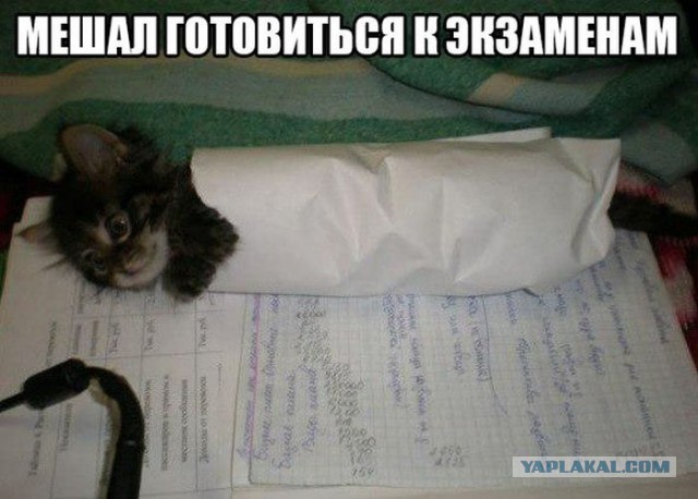 Картинки для настроения