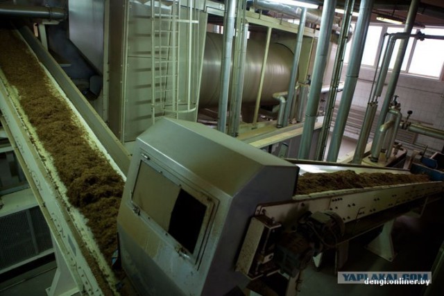 Как в Беларуси делают сигареты: репортаж