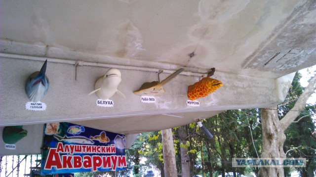 Алушта Крым Октябрь 2015