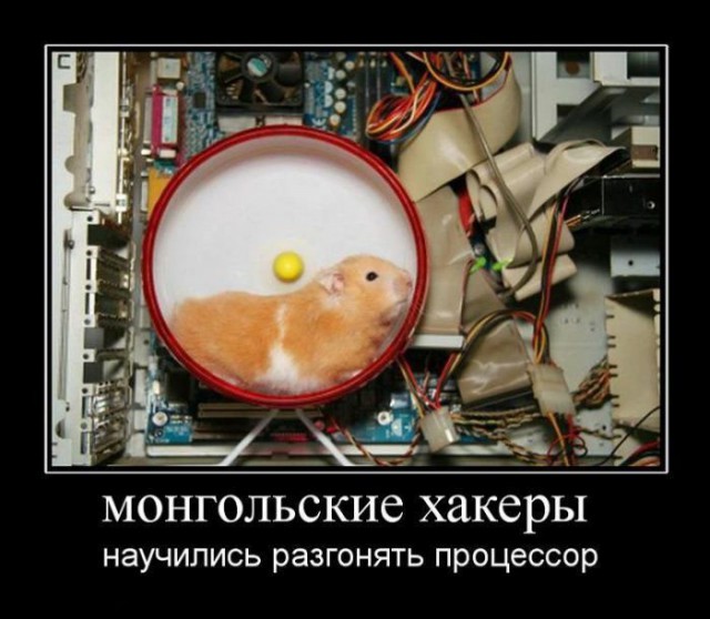Немного картинок и демотиваторов