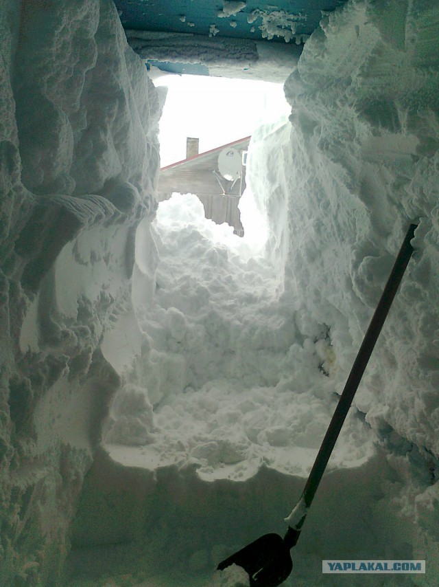 40 фактов о климате России, которые вы не знали