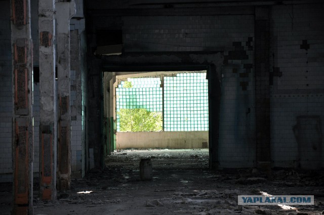 Семикаракорский консервный завод