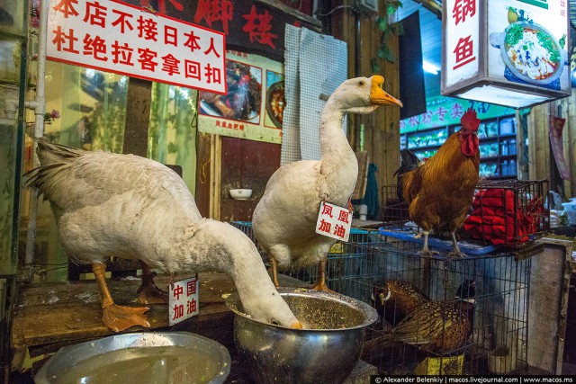 Пора завязывать с туристическими городами…