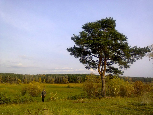 Подборка "тёплых, уютных, домашних" фотографий. Часть 2