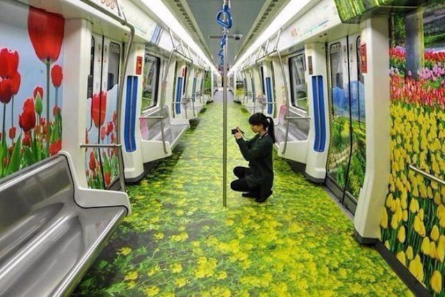 Картинки для отдыха глаз