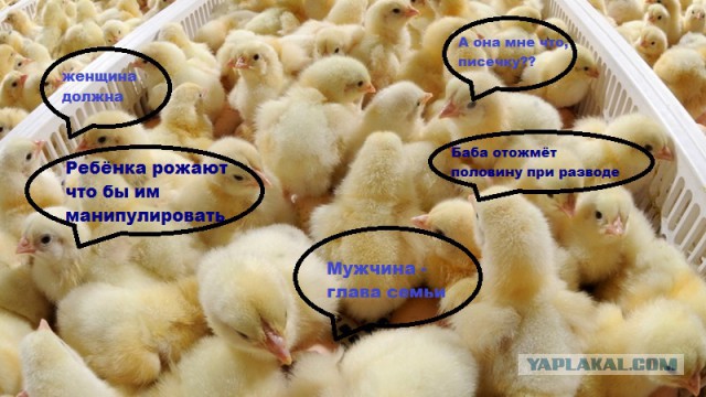 Чего хотят женщины