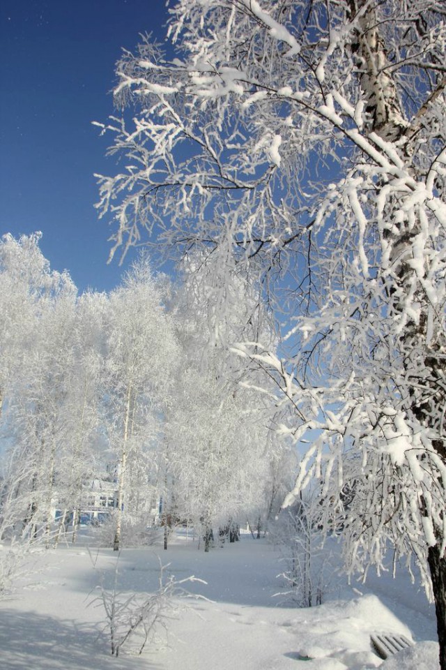 Мой родной сибирский поселок