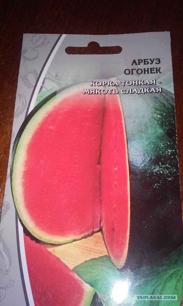 10 редких фруктов, которые стоят возмутительно дорого