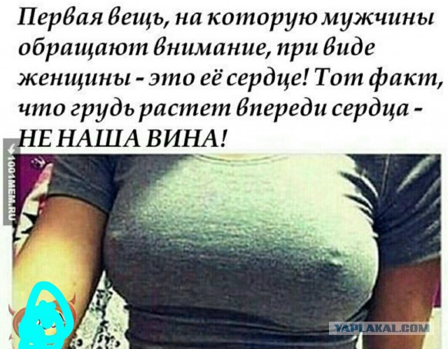 Точка бифуркации пройдена...