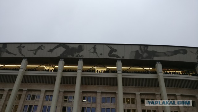 Беседка ФиС ЯПа