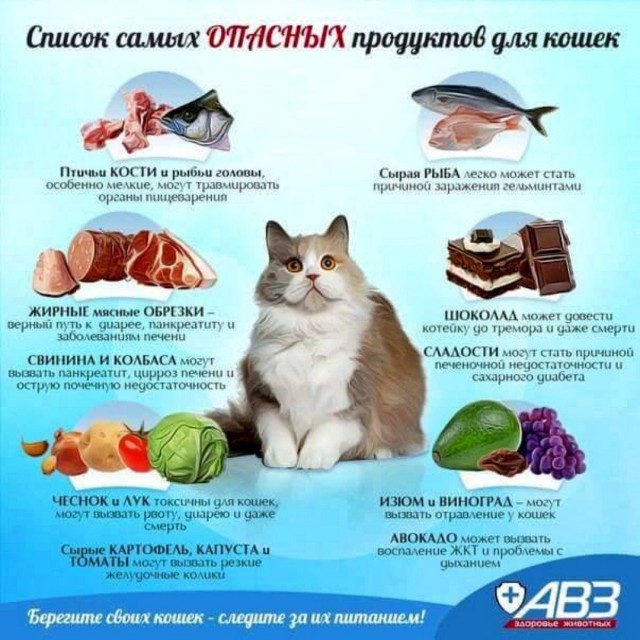 Взяли себе хозяина