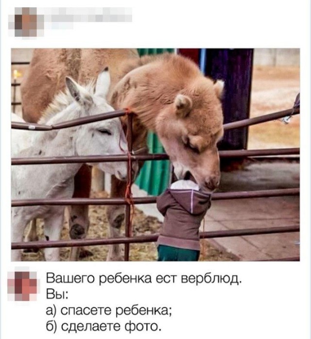 Картинок всяких разных