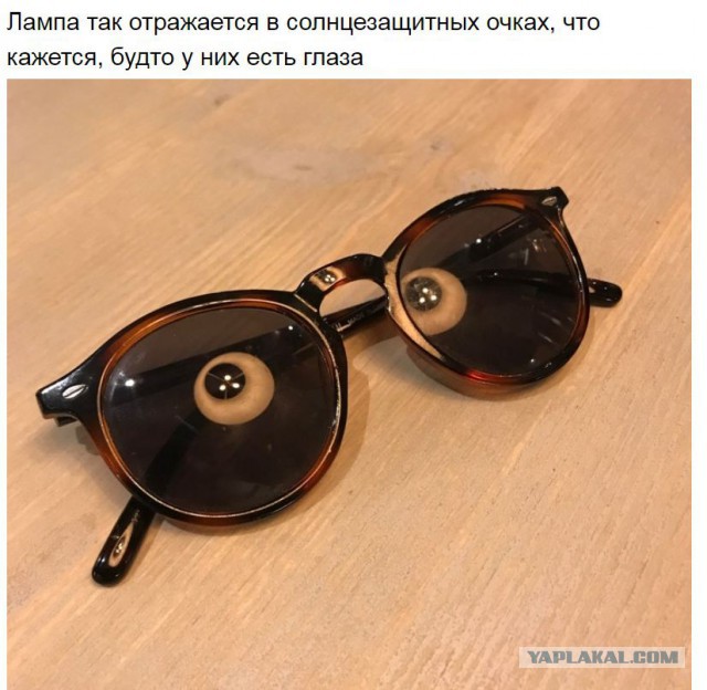 Вот это поймали момент!