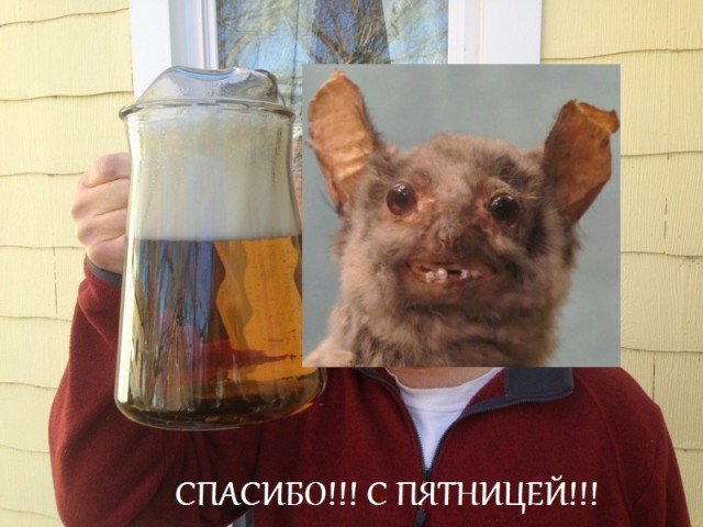 Алкопост на вечер пятницы