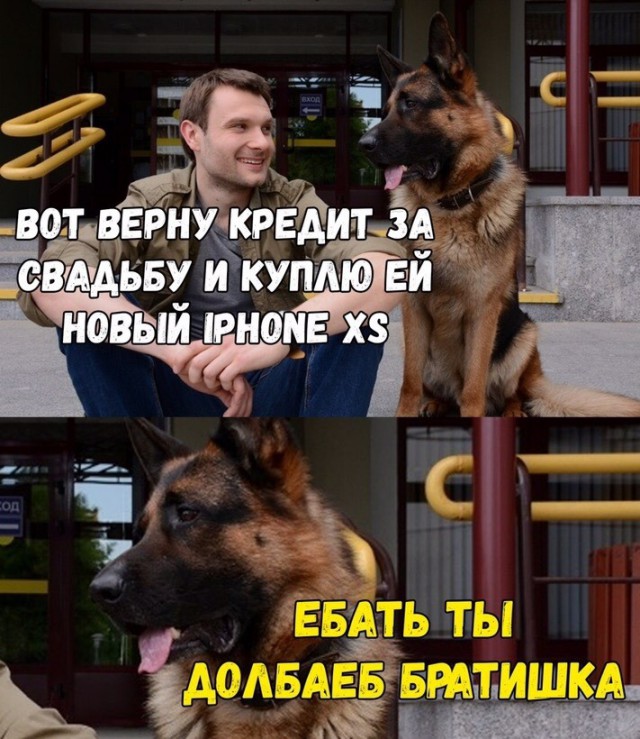 Apple представила три новейших модели iPhone