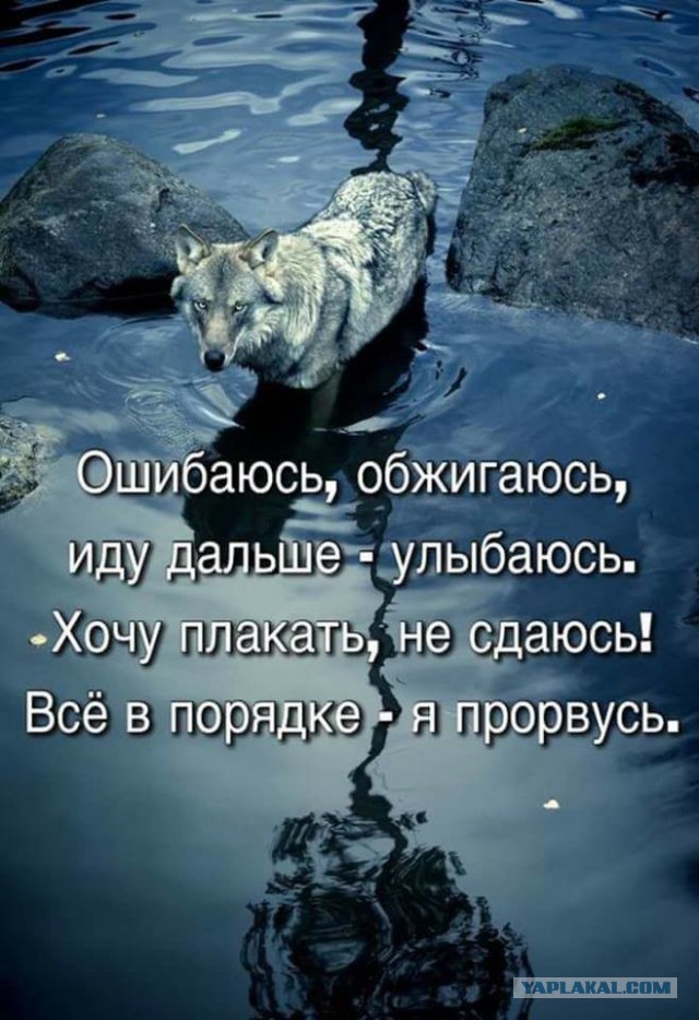 Картинки юморные и тексты