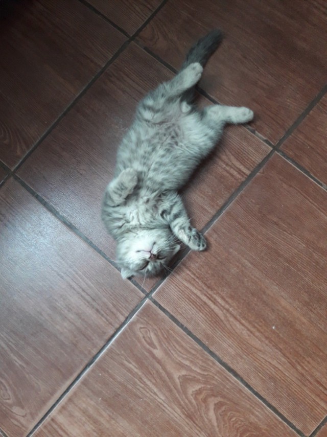 Немного милоты