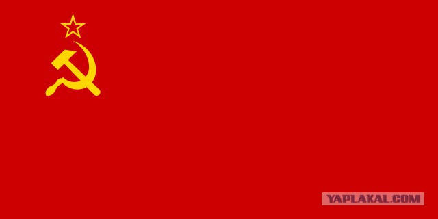 Сожгли российский флаг и выложили видео в Инстаграм
