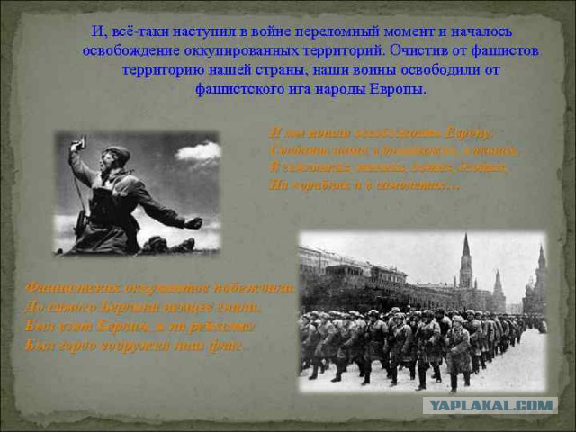 "Молодая Гвардия Единой России" в Нижнем Тагиле отличилась на 23 февраля
