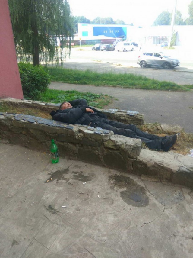Скотсети и прочие интернеты 17.05.19