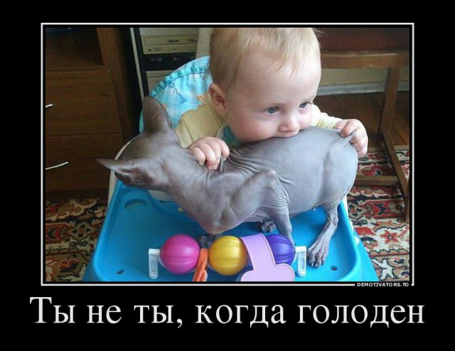 22 случая с детьми, по которым можно снимать продолжение фильма «Трудный ребенок»