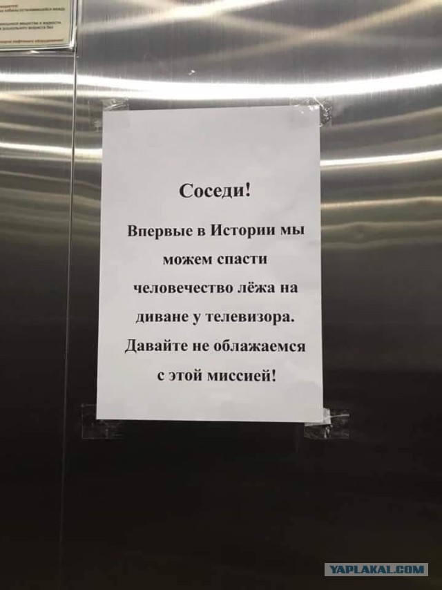 Бредзона 23.03.2020