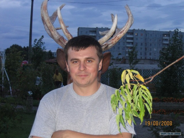 Жабим