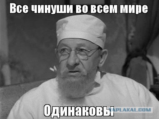 Ученые заявили о гибели 95% морских организмов в Авачинской бухте на Камчатке