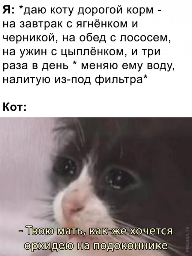 Картинки и мемы для настроения 007