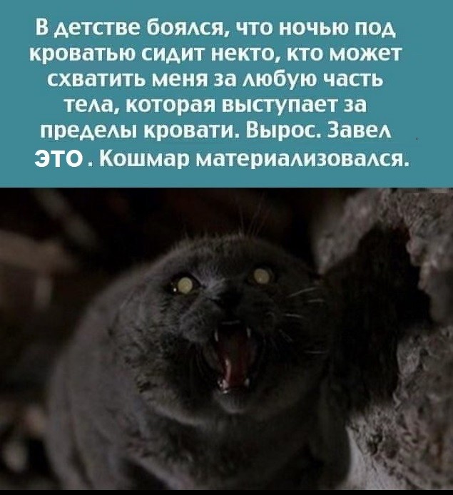 Картинки с надписями и всякие жизненные фразы 20.1.21