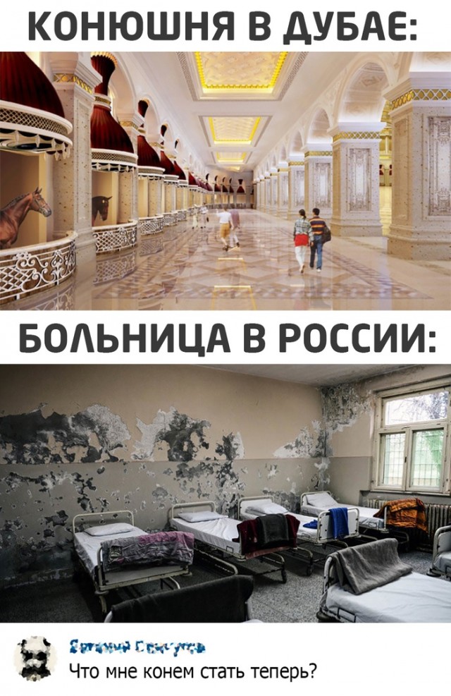 Кретинизмы из ЛМ и ЛЩ 15.03.2021