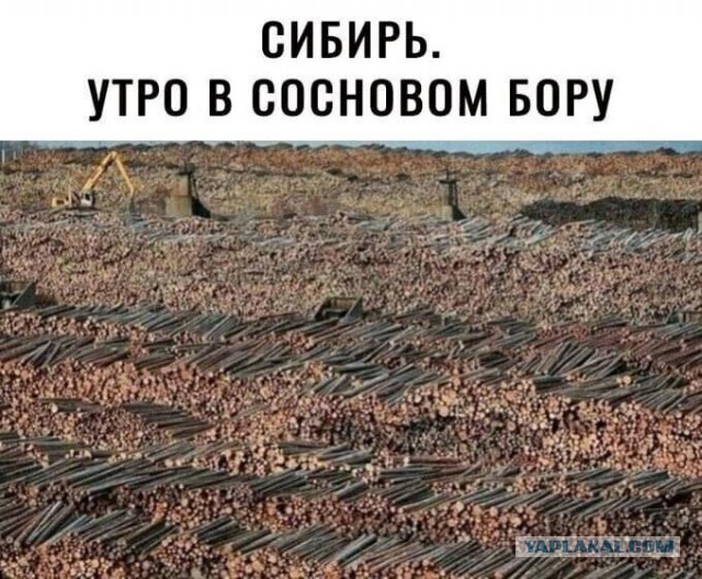 Путин пообещал, что Россия «выбьет зубы» всем, кто покушается на ее территорию