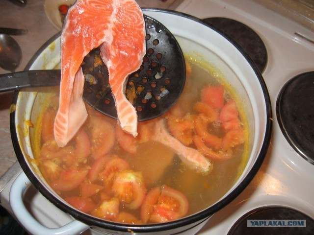 Все из рыбы!