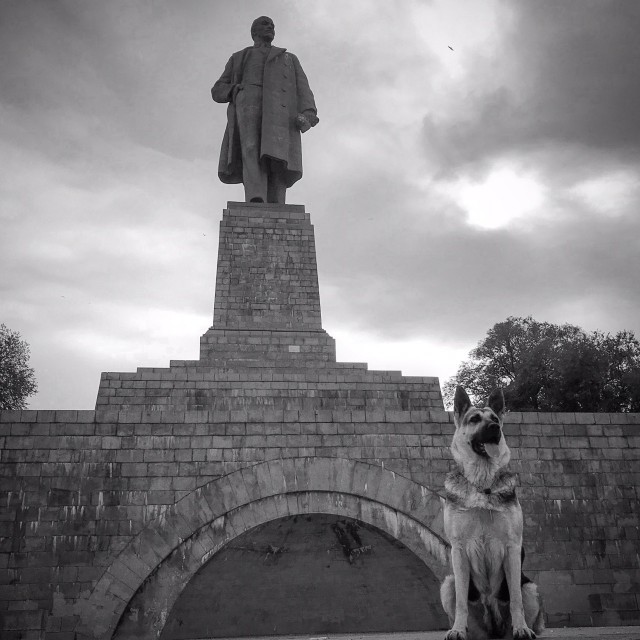 Живу в Волгограде