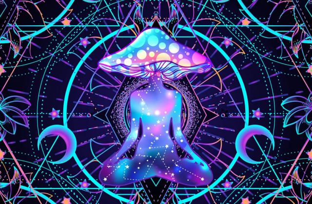 Упоротый Джа-дзен-пост