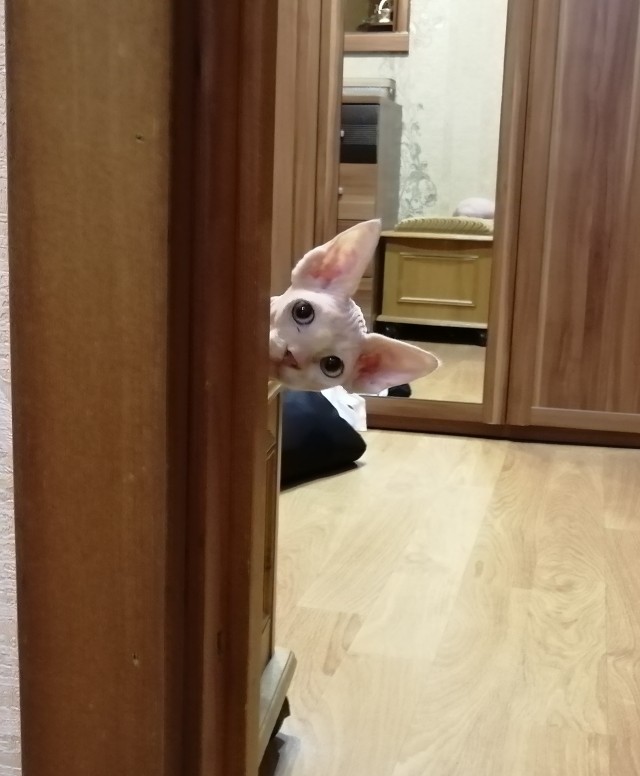 Кто здесь?!