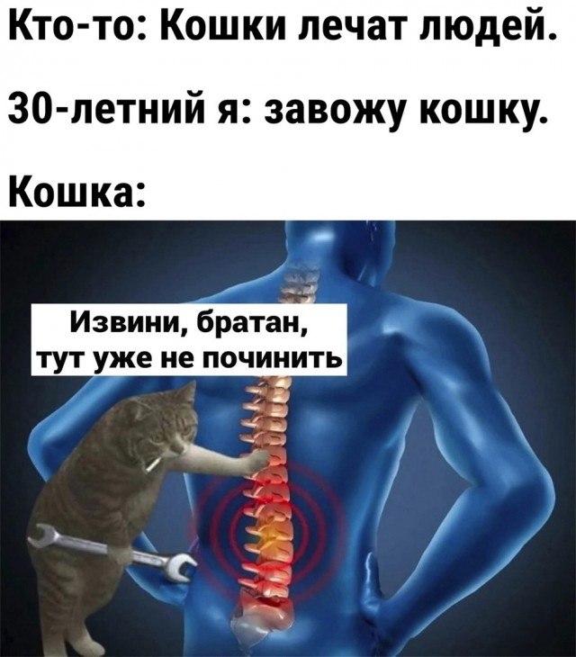 Прикольные и просто красивые картинки 10.11.2021