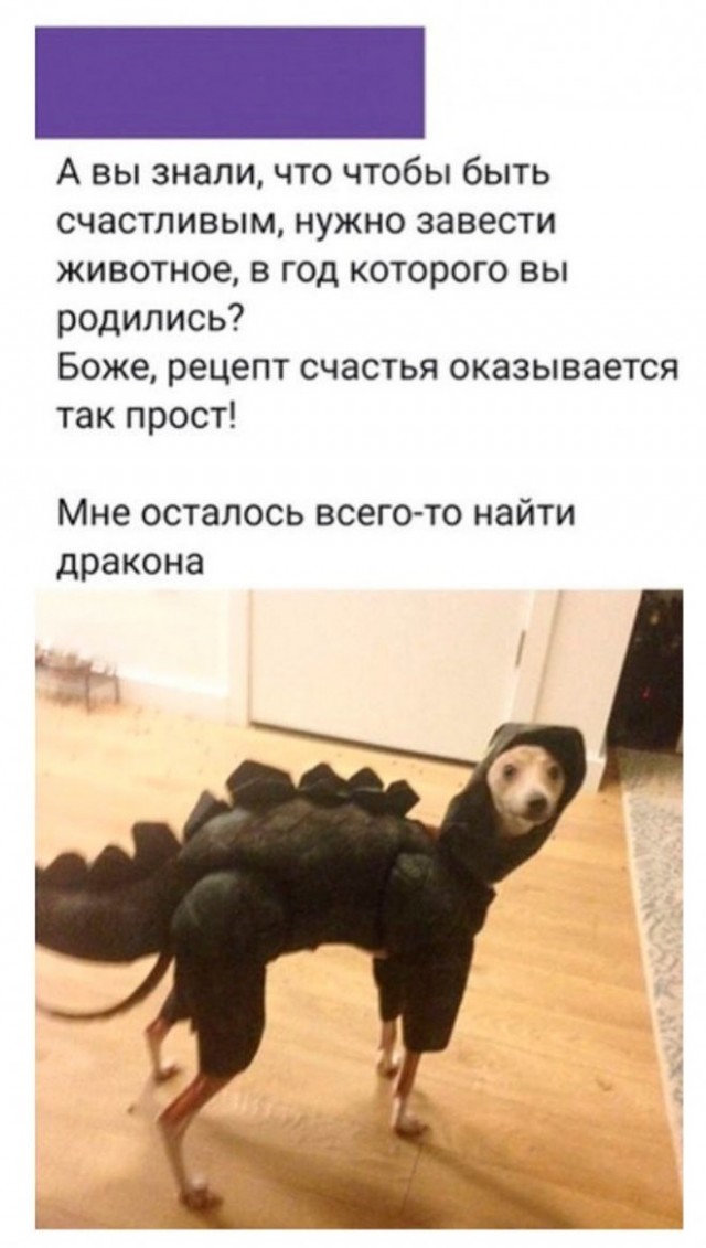 Картинки и мемы для настроения 28.12.2021