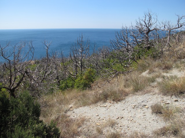 Анапа.